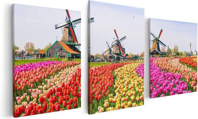 Artaza Canvas Schilderij Drieluik Kleurrijke Tulpen Bloemenveld - Windmolen - 120x60 - Foto Op Canvas - Canvas Print