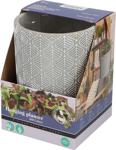 Buzzy House Plants Hangende Plantpot met Coleus zaden - plantenpotten voor binnen