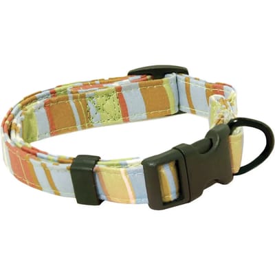 Hondenhalsband Image Raye