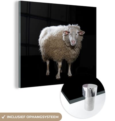 MuchoWow® Glasschilderij 50x50 cm - Schilderij acrylglas - Schaap - Boerderijdieren - Zwart - Foto op glas - Schilderijen