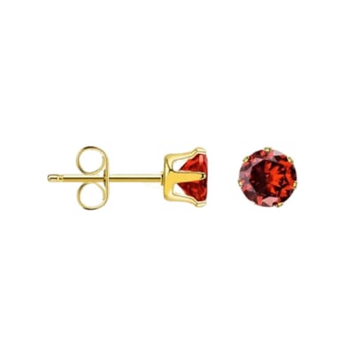 Aramat Jewels | Oorbellen | RVS Zirkonia oorbellen rood - rond | Goudkleur / 5mm | | | Staal | Kinderen, Volwassenen | Verkleurd niet