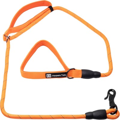 Hondenriem - Leash Hond - Veilig Uitlaten - Verstelbare Handgreep - 1.5 Meter - Oranje