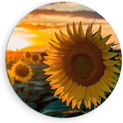 Saammp Muurcirkel Hout - Zonnebloemen - Natuur - Landschap - Ø 90 - Wandcirkel - Wanddecoratie Cirkel - Muurdecoratie Woonkamer - Slaapkamer decoratie - Rond Schilderij