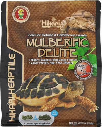 Hikari Turtle Mulberific
