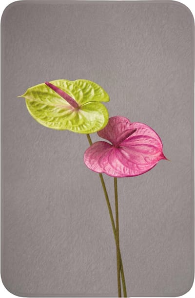 WC mat 40x60 cm - Antislip - Planten - Anthurium - Groen - Roze - Toiletmat - Vloermat - Douchemat - Toilet tapijt - Toiletmatten