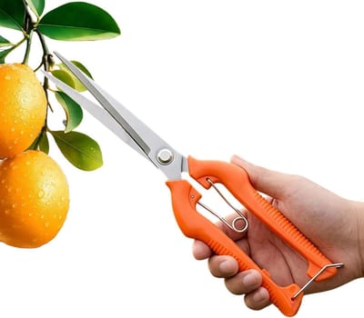 Handsnoeischaar Tuinschaar - Pluk- en Snoeischaar - Tuinonderhoud Uitdunnen - Roestvrijstalen Ontwerp - 24 cm Lengte - Zwart