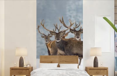 Behang - Fotobehang Hert - Dieren - Sneeuw - Winter - Landschap - Natuur - Breedte 120 cm x hoogte 240 cm