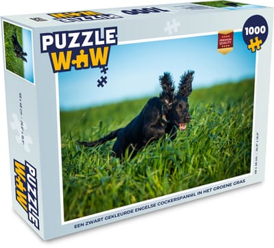 Puzzel Een zwart gekleurde Engelse cockerspaniël in het groene gras - Legpuzzel - Puzzel 1000 stukjes volwassenen