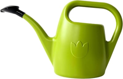 Gieter Eva - Waterkan Planten - Planten Water Geven - Lange Nauwkeurige Tuit - 2 Liter - Lichtgroen