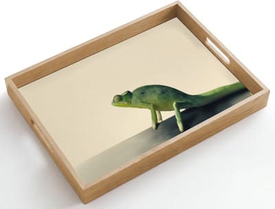 Dienblad hout 50x35 cm - Schootdienblad - Kameleon - Groen - Minimalistisch - Borrelplank rechthoek - Plateau dienbladen