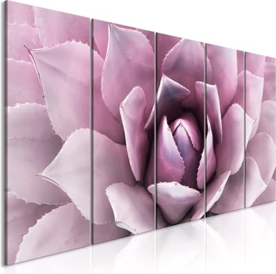Schilderijen Op Canvas - Schilderij - Agave (5 Parts) Narrow Pink 200x80 - Artgeist Schilderij