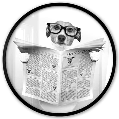 Poster in lijst Rond - Fotolijst 40x40 cm - Posters - Hond - Krant - Toilet - Zwart wit - Dieren - Ronde posterlijst zwart - Decoratie - Wanddecoratie woonkamer - Muurdecoratie slaapkamer