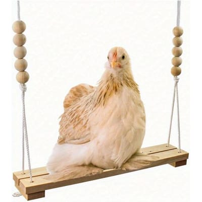 Jouet Balançoire pour Poulet, Support Perchoir en Bois Pour, Grande Échelle Perchoir pour Volaille, Poulets, Perroquets, Jouet de Divertissement pour Animaux de Compagnie 1 Item multicolore
