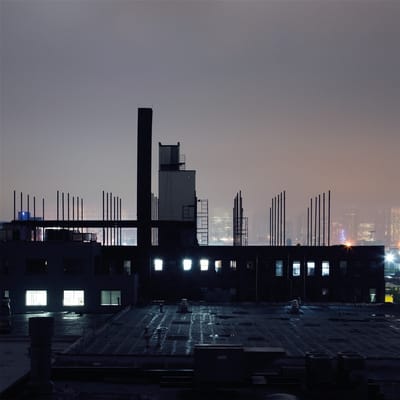 Remo Seeland - Hollow Body (LP)