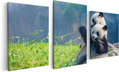 Artaza Canvas Schilderij Drieluik Twee Panda's Eten Bamboe Riet - 120x60 - Foto Op Canvas - Canvas Print