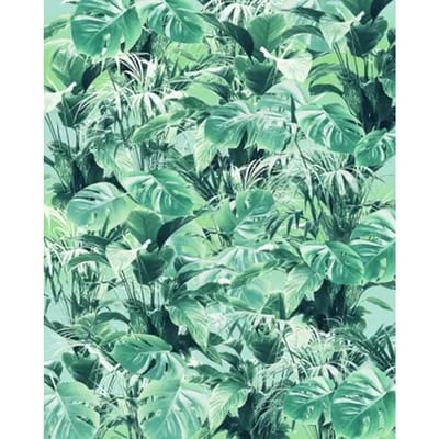 Fotobehang - Evergreen 200x250cm - Vliesbehang