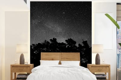 Behang - Fotobehang Sterrenhemel - Bos - Hemel - Zwart - Bomen - Breedte 165 cm x hoogte 220 cm