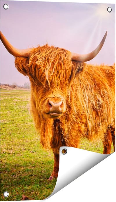 Gards Tuinposter Bruine Schotse Hooglander Koe - Kleur - 40x60 cm - Tuindoek - Tuindecoratie - Wanddecoratie buiten - Tuinschilderij