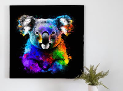 Koalabeer kleurexplosie | Koalabeer kleurexplosie | Kunst - 80x80 centimeter op Dibond | Foto op Dibond