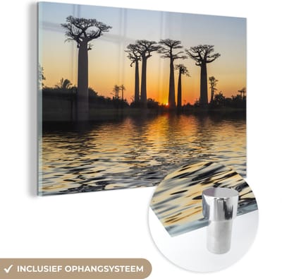 ® Glasschilderij 180x120 cm - Schilderij acrylglas - Een indrukwekkende zonsondergang achter de Afrikaanse baobabs - Foto op glas - Muurdecoratie woonkamer - Wanddecoratie slaapkamer - Schilderijen