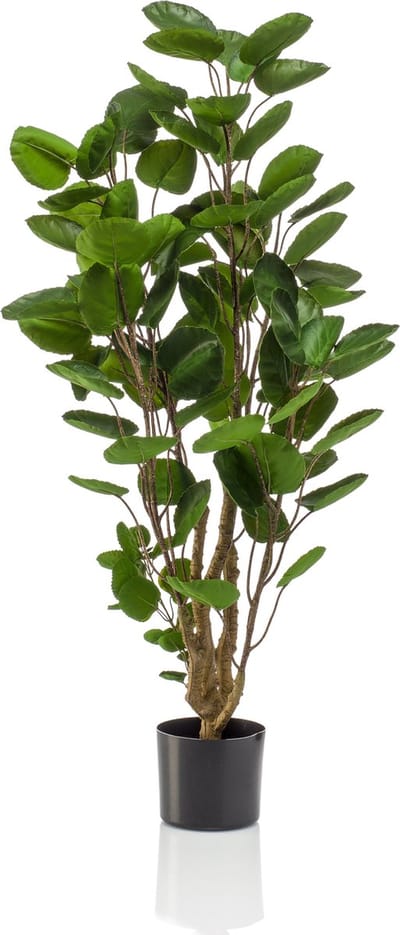 Emerald - Kunstboom Polyscias 105cm - Kunstplant voor binnen