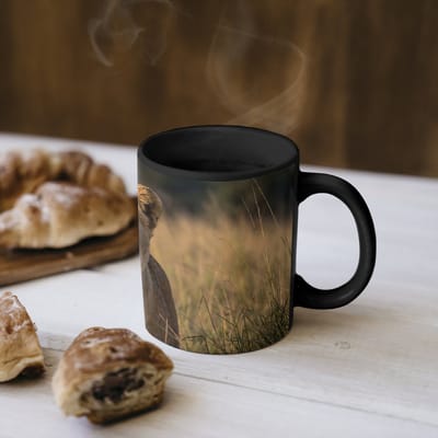 Magische Mok - Foto op Warmte Mokken - Koffiemok - Leeuwin - Gras - Geel - Magic Mok - Beker - 350 ML - Theemok