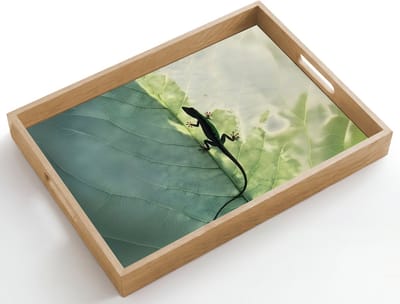 Dienblad hout 50x35 cm - Schootdienblad - Hagedis - Blad - Nerven - Groen - Borrelplank rechthoek - Plateau dienbladen