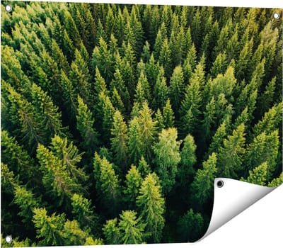 Gards Tuinposter Bos met Bomen vanaf Boven - 80x60 cm - Tuindoek - Tuindecoratie - Wanddecoratie buiten - Tuinschilderij
