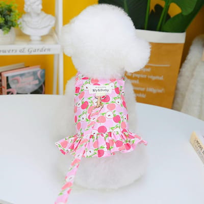 Huisdieren Zomer Fruit Bandrok Hond Aardbei Kleding Lente Zomer Hondrok Hondenkleding Nieuwe Kleding Fruitrok met Touw XXL