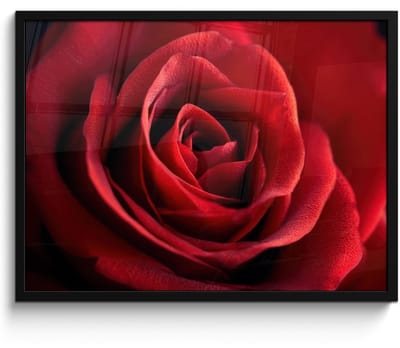 Poster in lijst - Fotolijst 70x50 cm - Posters - Rood - Roos - Romantisch - Posterlijst zwart - Decoratie - Wanddecoratie woonkamer - Muurdecoratie slaapkamer