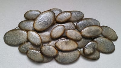 Wanddecoratie - Muur decoratie - Bruin- Grijs - 86x42cm - Metaal