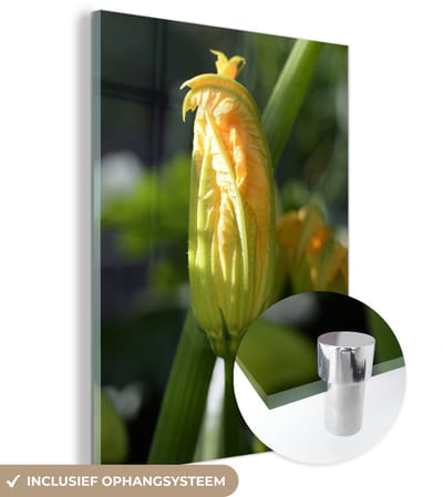 ® Glasschilderij 120x160 cm - Schilderij acrylglas - De knop van een courgette - Foto op glas - Muurdecoratie woonkamer - Wanddecoratie slaapkamer - Schilderijen