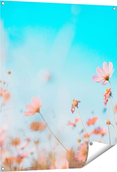 Gards Tuinposter Paarse Kosmos Bloemen - 80x100 cm - Tuindoek - Tuindecoratie - Wanddecoratie buiten - Tuinschilderij