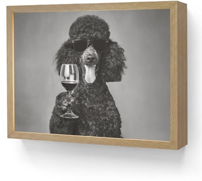 Wandlamp 40x30 cm - Oplaadbaar - Hond - Krullen - Zonnebril - Wijn - Wandlampen binnen woonkamer - Slaapkamer lamp - Decoratieve nachtlamp - Vloerlamp draadloos