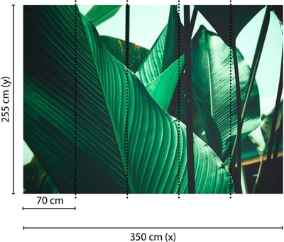 Fotobehang LeafStalks1 DD118556 A.S. Création Designwalls | 3D Fotobehang