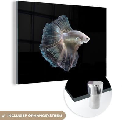 MuchoWow® Glasschilderij 60x40 cm - Schilderij acrylglas - Vis - Staart - Wit - Foto op glas - Schilderijen
