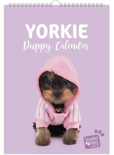 Studio Pets® verjaardag kalender A4 – Yorkshire Terriër honden maandplanner – kalender voor kinderen