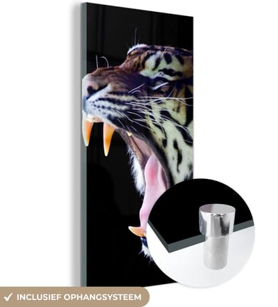 MuchoWow® Glasschilderij 20x40 cm - Schilderij acrylglas - Tijger - Tanden - Portret - Foto op glas - Schilderijen