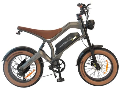 DYU - M20 - Elektrische fatbike - 1000 W+ - 48 V 18,2 Ah - 20 inch