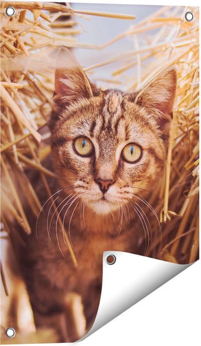 Gards Tuinposter Kat tussen de Stro Balen - 40x60 cm - Tuindoek - Tuindecoratie - Wanddecoratie buiten - Tuinschilderij