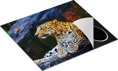 Chefcare Inductie Beschermer Luipaard op de Rotsen - 60x50 cm - Afdekplaat Inductie - Kookplaat Beschermer - Inductie Mat