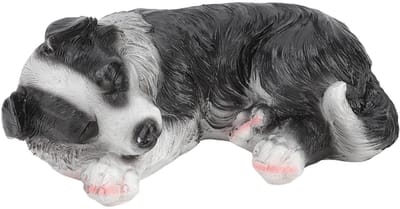 Dailygoods- Standbeeld Schattige Border Collie Puppy - Tuinbeelden voor Buiten - Waterdicht - Decoratie - Weerbestendig - Fijn Vakmanschap - Tuindecoratie
