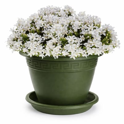 Plasticforte plantenpot met opvang schaal - donkergroen - rond - D30 x H23 cm - kunststof - buiten - tuin - bloempot