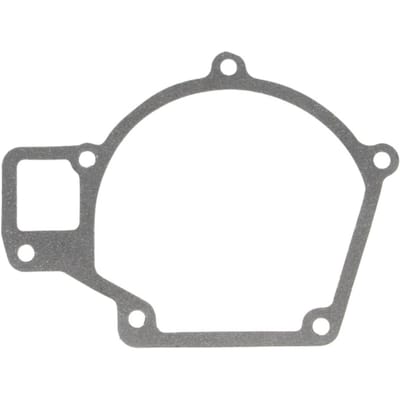 Pakking, waterpomp DT Spare Parts 3.16101
