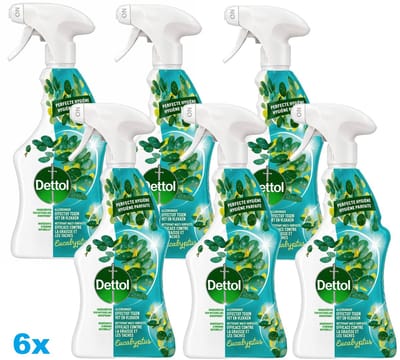 Dettol Allesreiniger Spray Eucalyptus - 6 x 500ml - 6 Stuks