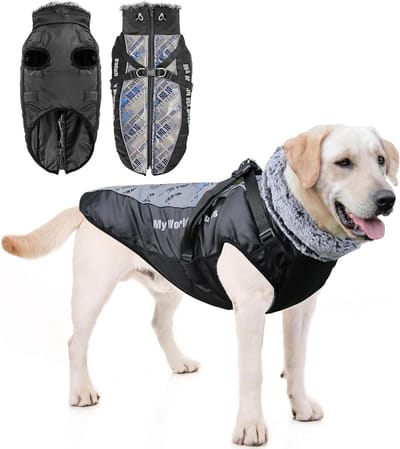 Waterdichte Hondenjas - Winterjas Hond - Bescherming tegen Weer - Afneembaar Harnas - Maat 6XL - Blauw
