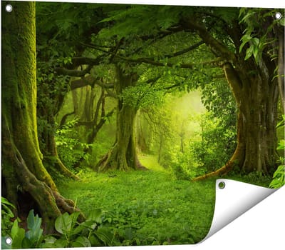 Gards Tuinposter Groene Tropische Jungle Bos - 80x60 cm - Tuindoek - Tuindecoratie - Wanddecoratie buiten - Tuinschilderij