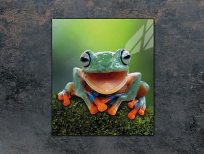 TMK ArtDeko Serie - Snijplank Glas - 45x52 cm - Motief: Kikker