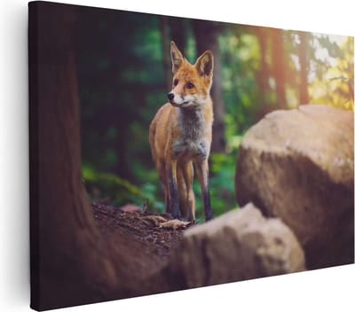 Artaza Canvas Schilderij Vos In Bos - 30x20 cm - Klein - Wanddecoratie Dieren - Muurdecoratie Woonkamer - Kamer Accessoires