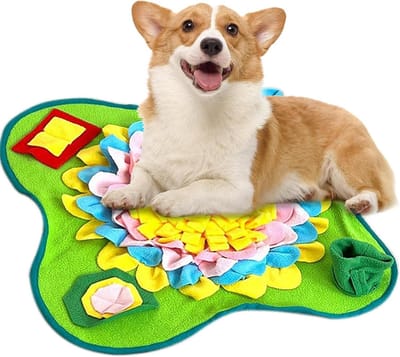 Honden Verrijking Mat - Snuffel Speelgoed - Hersen Training - Vertraagt Eten - 22 cm - Veelkleurig